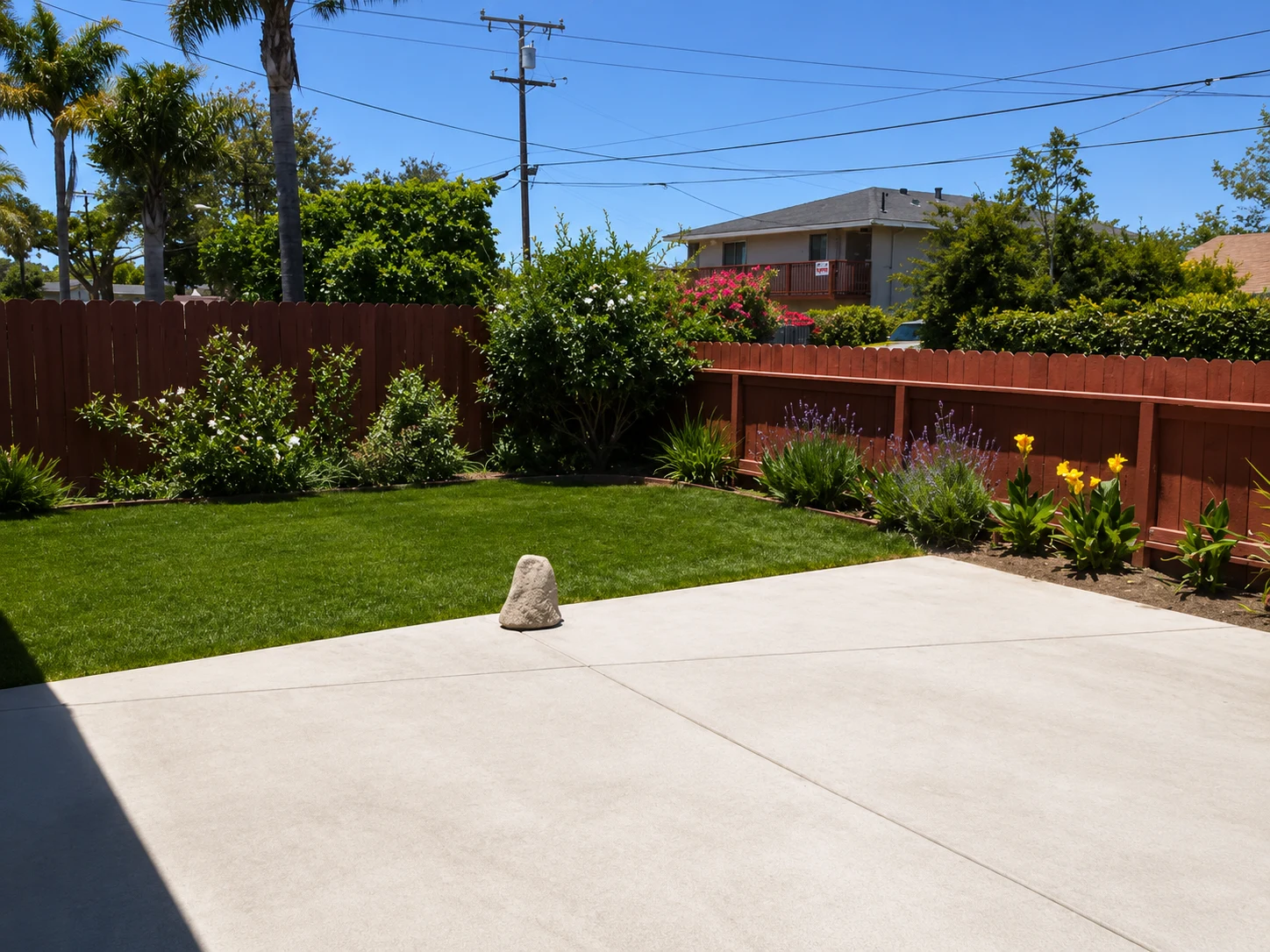 
    Backyard
