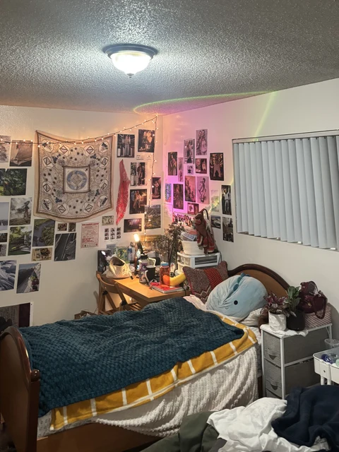 6768 Trigo Rd, Goleta